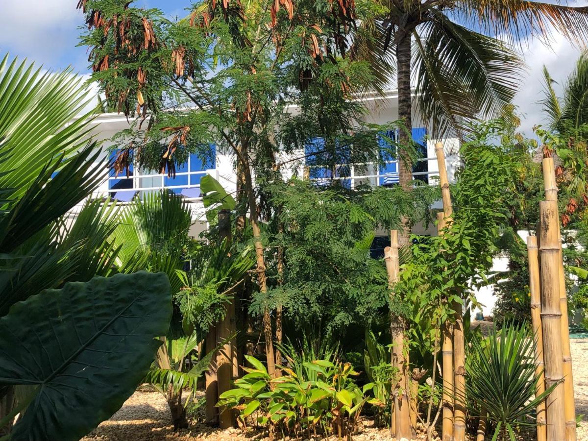 Aurora Boutique Hotel Jambiani جامبياني المظهر الخارجي الصورة